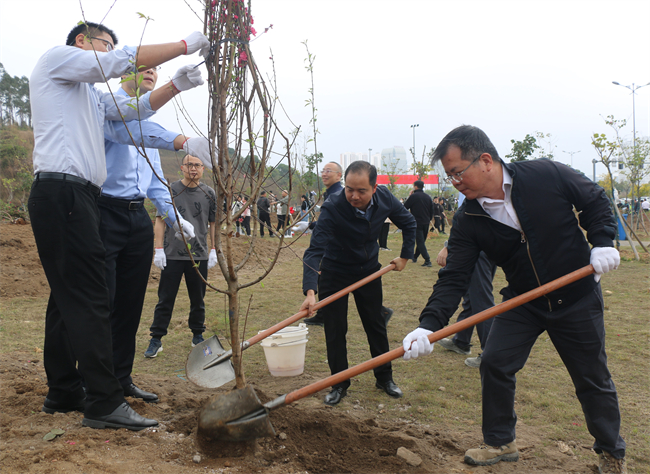 中馬合資公司組織員工前往園區(qū)孔雀灣公園開(kāi)展義務(wù)植樹(shù)活動(dòng)
